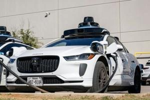 698176626f6deimagejpg | Fox 11 Tri Cities Fox 41 Yakima