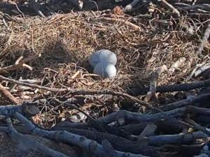 69822618ca8c4imagejpg | Fox 11 Tri Cities Fox 41 Yakima