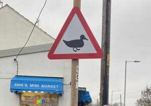 Officials install duck warning sign in spot with no ducks