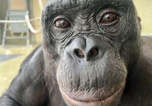 69860ca55e10cimagejpg | Fox 11 Tri Cities Fox 41 Yakima