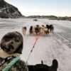 Warming climate threatens Greenland’s ancestral way of life