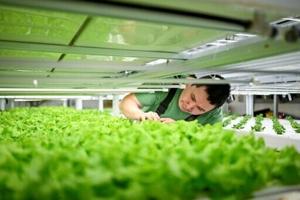 Aggregator Downloaded image for imported item 933473 | Fox 11 Tri Cities Fox 41 Yakima