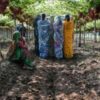 Struggling farmers find hope in India co-operative