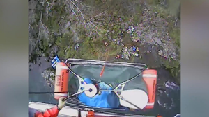 Aggregator Downloaded image for imported item 935324 | Fox 11 Tri Cities Fox 41 Yakima