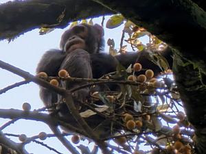 Aggregator Downloaded image for imported item 935684 | Fox 11 Tri Cities Fox 41 Yakima