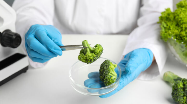 Aggregator Downloaded image for imported item 1528990 | Fox 11 Tri Cities Fox 41 Yakima