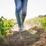 Where Natural Disasters Are Having the Biggest Impact on the Nation’s Food Supply