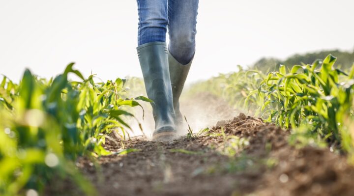Where Natural Disasters Are Having the Biggest Impact on the Nation’s Food Supply